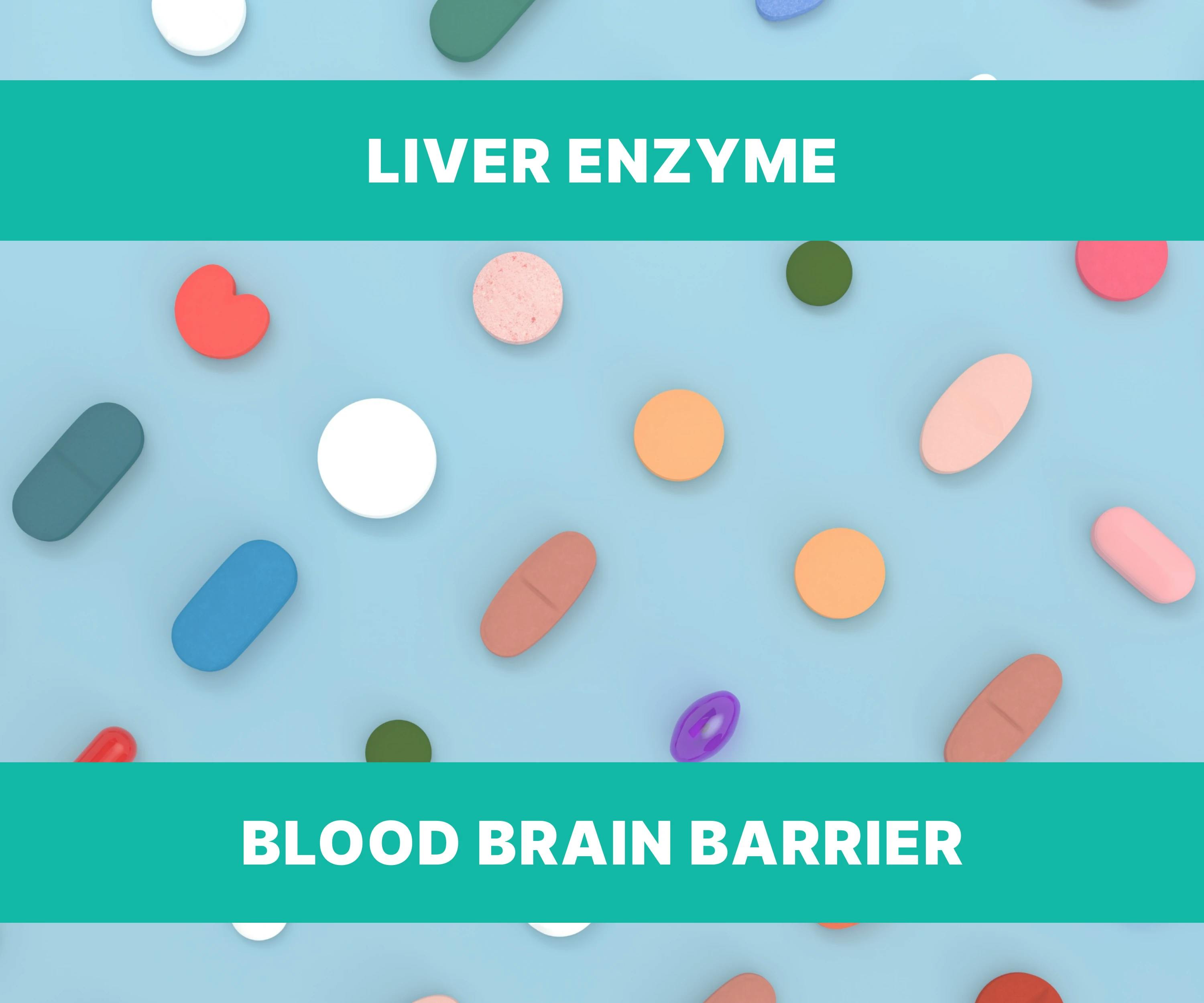 Learn about the liver enzyme, blood brain barrier